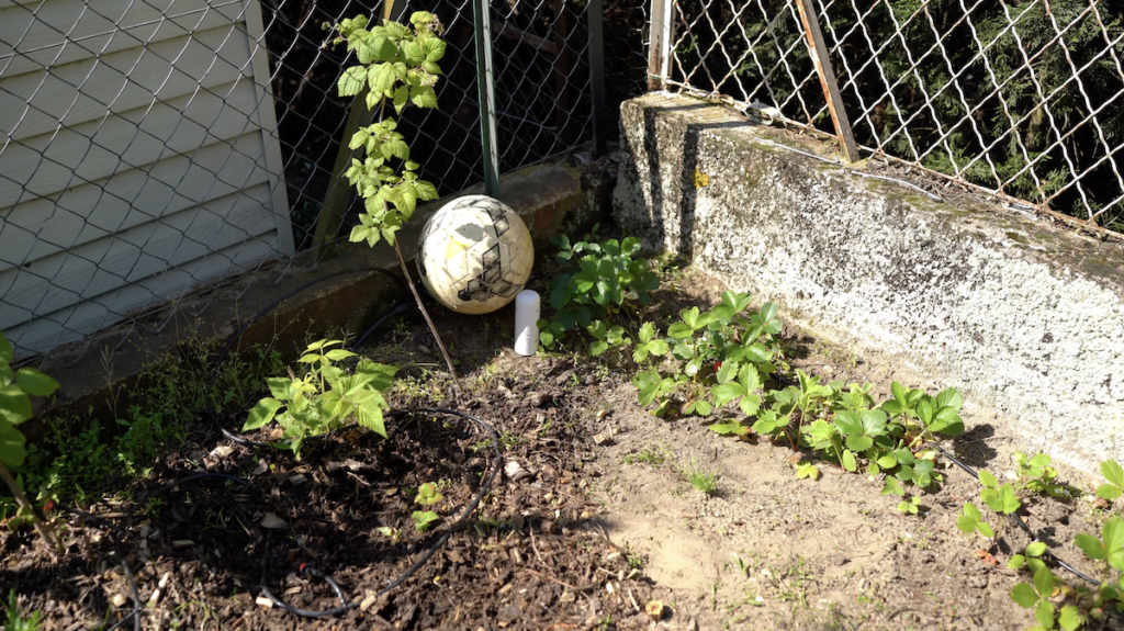 Misuratore di pioggia Netatmo: misura la quantità di pioggia nel vostro giardino