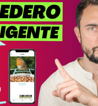 Netvue Birdfy es un comedero de pájaros exterior que integra una cámara para captar los pájaros, los reconoce por IA y os avisa en el teléfono.