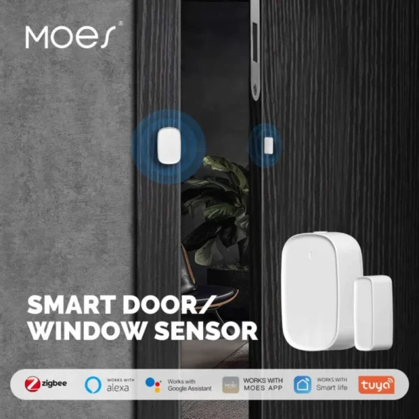 Moes - Sensor de puerta o ventana Zigbee Tuya ZSS-S01-GWM-C-MS