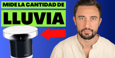 El Pluviómetro Netatmo mide la cantidad de lluvia en tu jardín.